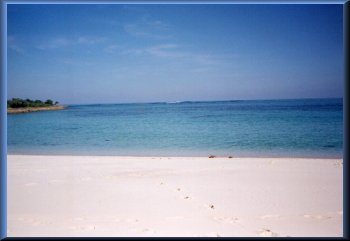 Grand Bahama boat charters